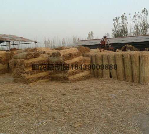 待運(yùn)輸?shù)牟莺?>
											</div>
											<p>待運(yùn)輸?shù)牟莺?/p>
										</a>
									</li>
								</div><div   id=