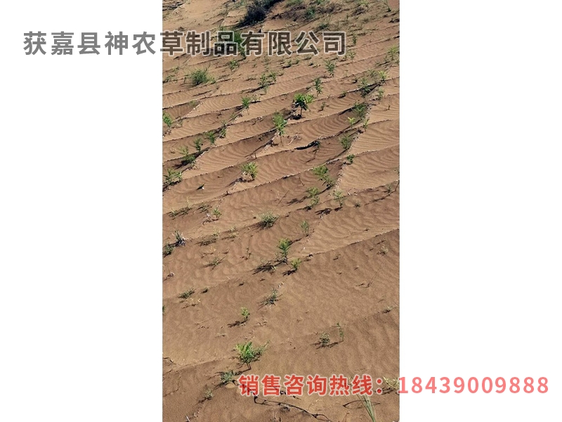 風(fēng)沙專用草制品