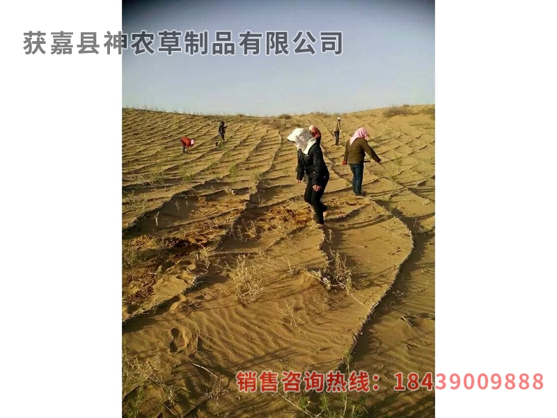 風(fēng)沙專用草制品