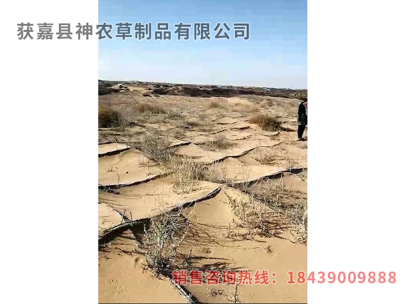 風(fēng)沙專用草制品