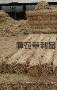 給樹(shù)干綁草繩有什么影響？