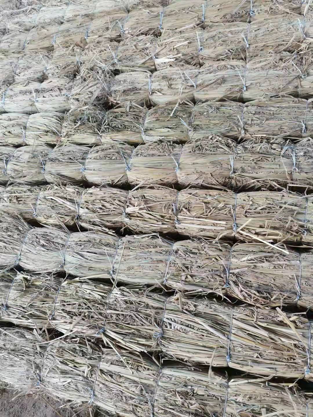 微信圖片_20220328142255