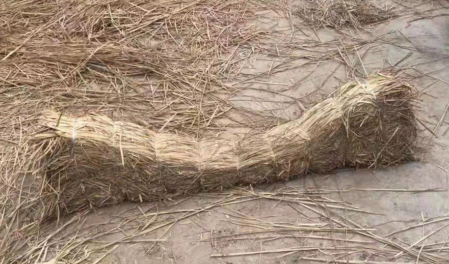 微信圖片_20220328142315