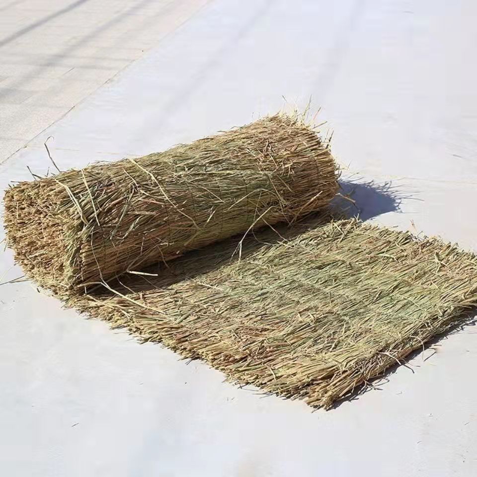 微信圖片_20220405161155